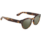 CAMBRIA, Classic Tortoise-Mineral Polarized 555nm Silver Cat 3 to 3, hi-res image number null